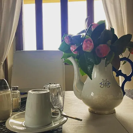 Il Motto Di Tommy 3*