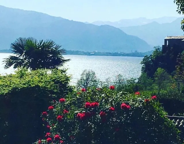 Il Motto Di Tommy Bed & Breakfast